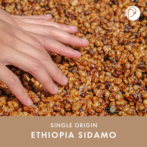 에티오피아 시다모 / 1kg